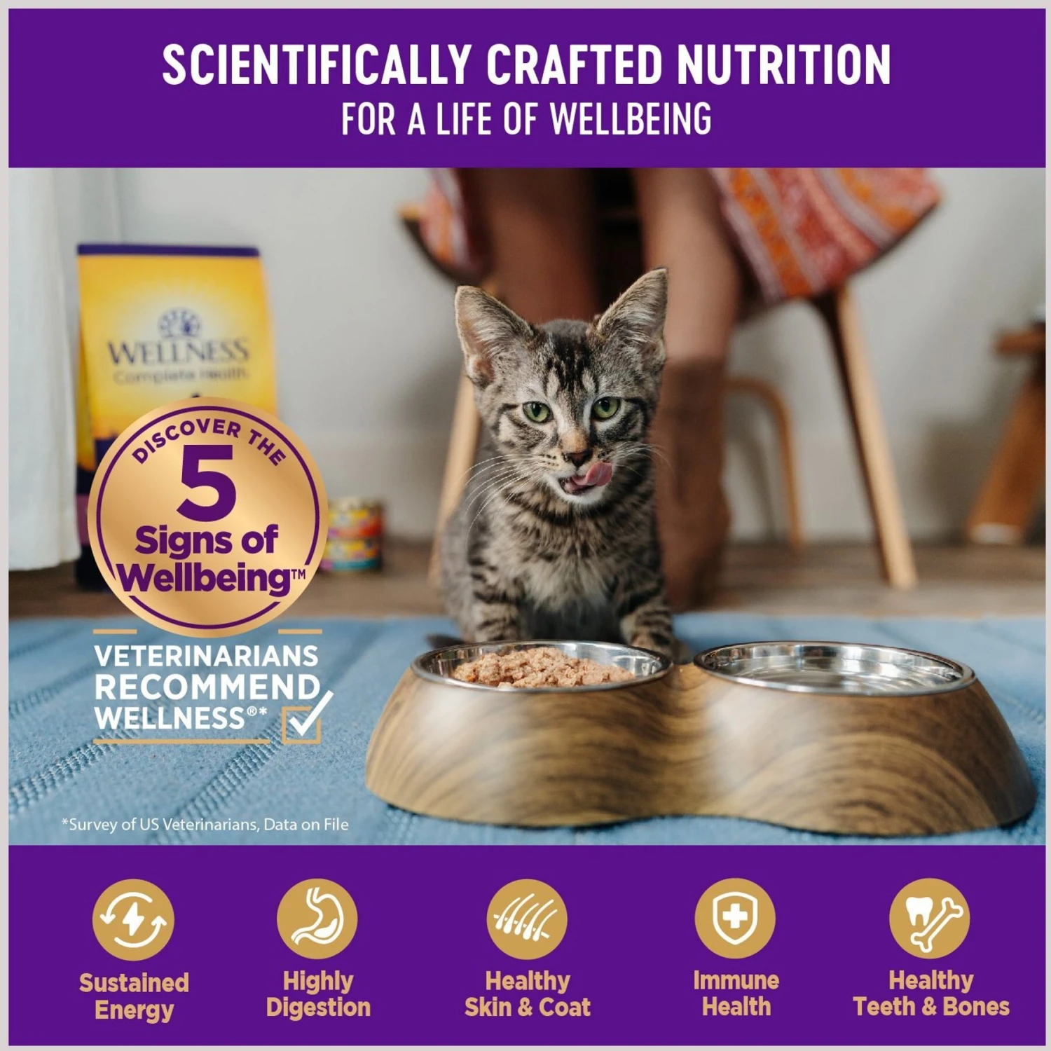 Wellness Healthy Indulgence Gravies With Bits Of Tuna & Mackerel Smothered In Gravy Grain-Free Wet Cat Food Pouches 4 Wellness Healthy Indulgence Gravies With Bits Of Tuna & Mackerel Smothered In Gravy Grain-Free Wet Cat Food Pouches - Image 4