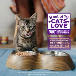 Wellness Healthy Indulgence Morsels With Chicken & Chicken Liver In Savory Sauce Grain-Free Wet Cat Food Pouches -Wellness Sales 95718 PT2. AC SS1800 V1695839058