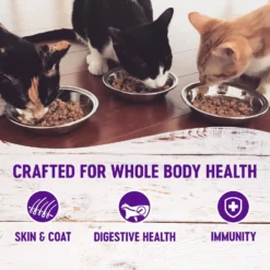 Wellness Healthy Indulgence Morsels With Chicken & Turkey In Savory Sauce Grain-Free Wet Cat Food Pouches -Wellness Sales 95722 PT2. AC SS1800 V1621988257