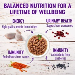 Wellness Healthy Indulgence Morsels With Chicken & Turkey In Savory Sauce Grain-Free Wet Cat Food Pouches -Wellness Sales 95722 PT3. AC SS1800 V1621990357