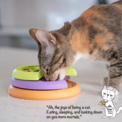 Catstages Kitty Lickin' Layers Multilayered Fun Puzzle Cat Feeder -Wellness Sales 959526 PT5. AC SS1800 V1695650785