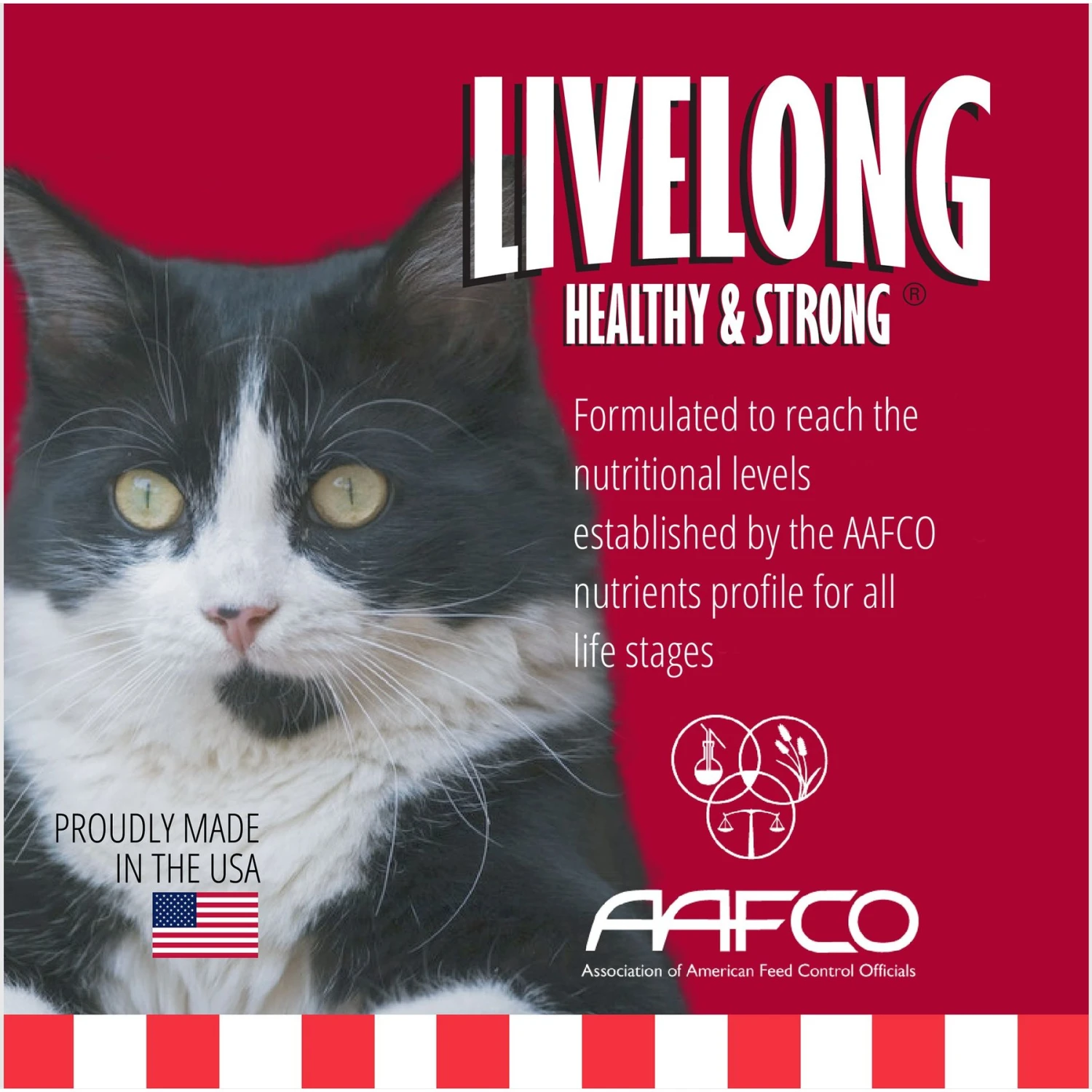 Livelong Healthy & Strong Yummy Meats Wet Cat Food, 5.5-oz Can, 24 Count 2 Livelong Healthy & Strong Yummy Meats Wet Cat Food, 5.5-oz Can, 24 Count - Image 2
