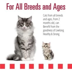 Livelong Healthy & Strong Yummy Meats Wet Cat Food, 5.5-oz Can, 24 Count 9 Livelong Healthy & Strong Yummy Meats Wet Cat Food, 5.5-oz Can, 24 Count -Wellness Sales 964158 PT3. AC SS1800 V1697117630