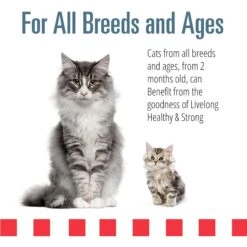 Livelong Healthy & Strong Yummy Seafood Wet Cat Food, 5.5-oz Can, 24 Count -Wellness Sales 964174 PT3. AC SS1800 V1697117690