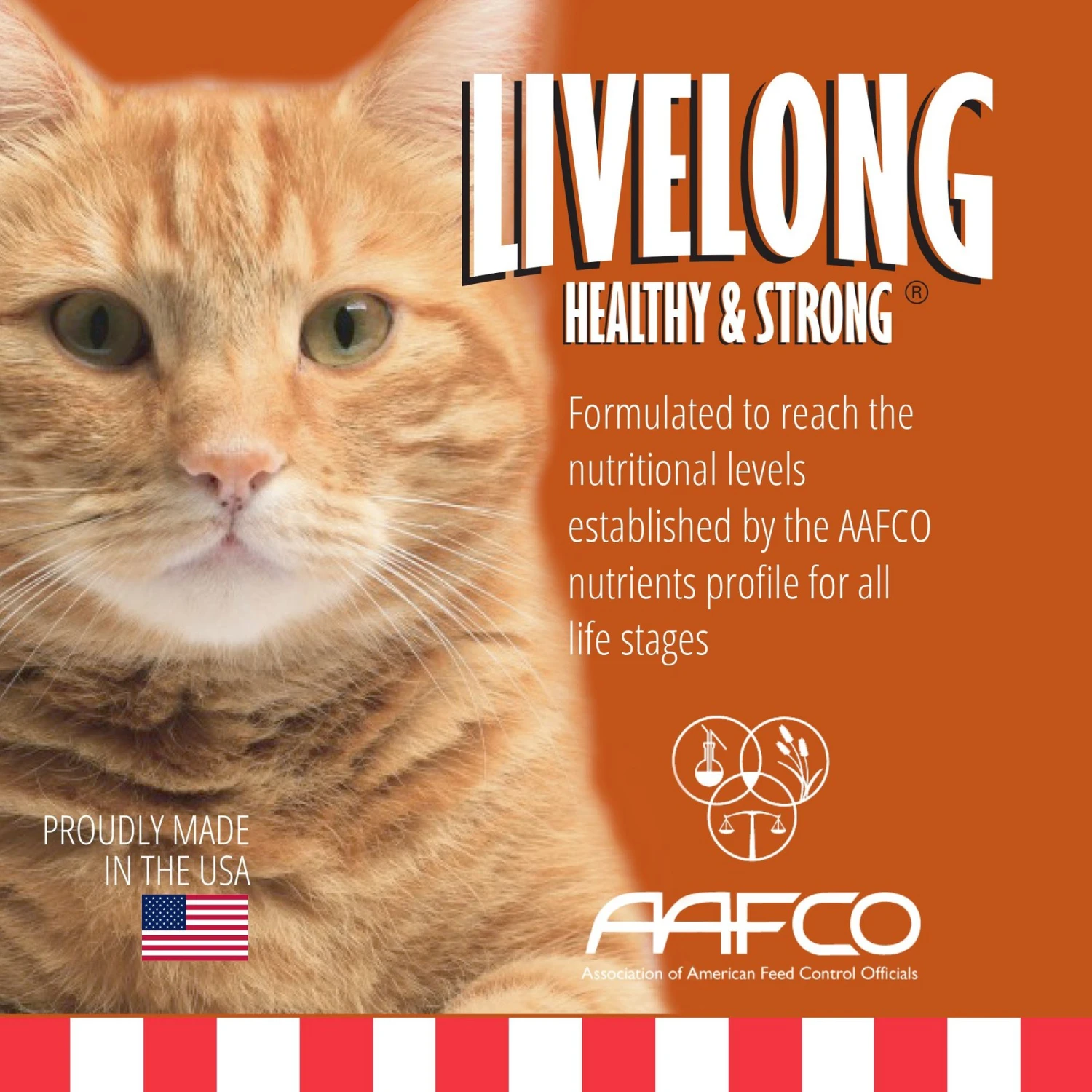Livelong Healthy & Strong Yummy Turducken Wet Cat Food, 5.5-oz Can, 24 Count 2 Livelong Healthy & Strong Yummy Turducken Wet Cat Food, 5.5-oz Can, 24 Count - Image 2