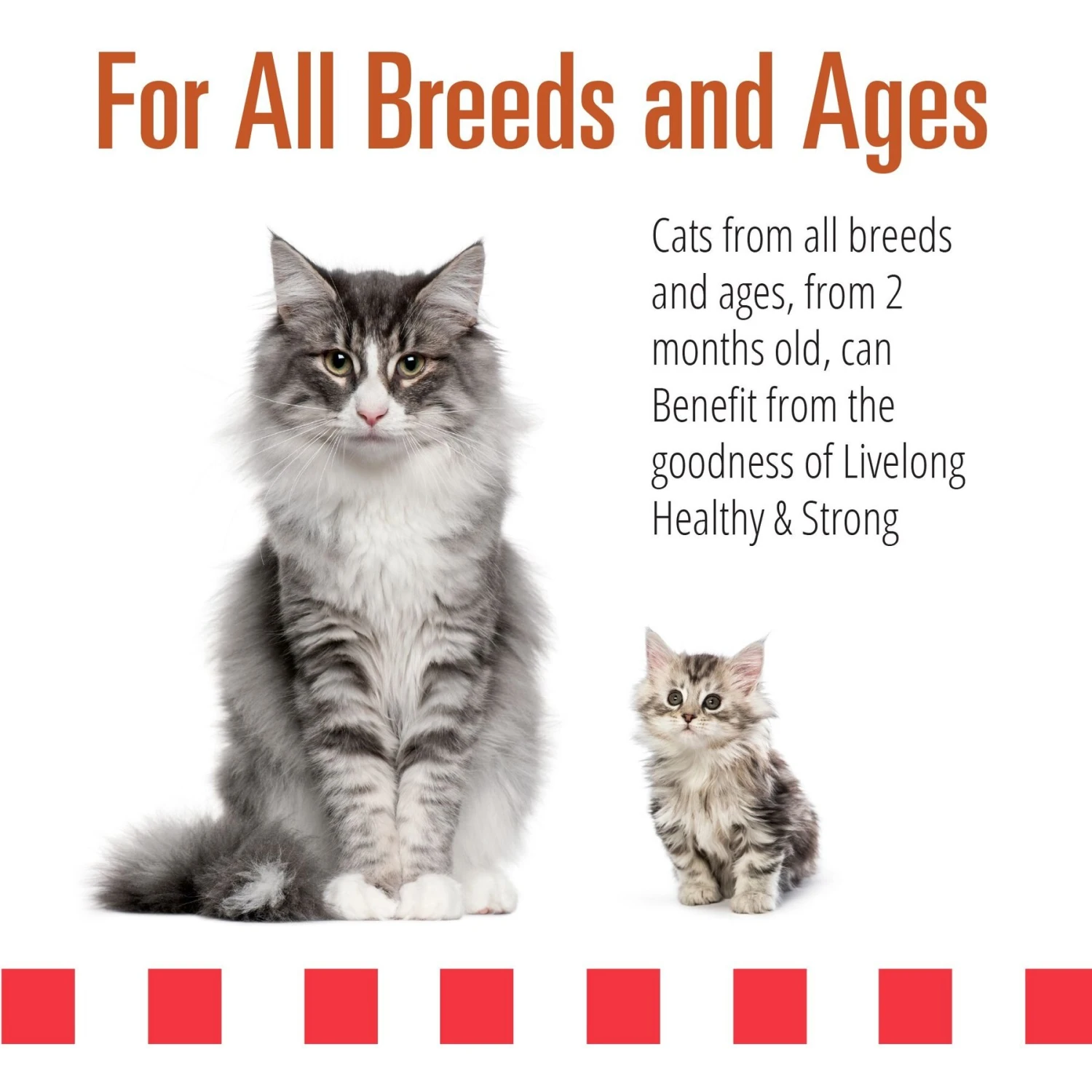 Livelong Healthy & Strong Yummy Turducken Wet Cat Food, 5.5-oz Can, 24 Count 4 Livelong Healthy & Strong Yummy Turducken Wet Cat Food, 5.5-oz Can, 24 Count - Image 4