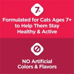 Cat Chow Essentials 7+ Immune + Joint Health Recipe Senior Dry Cat Food -Wellness Sales 966590 PT3. AC SS1800 V1696359580