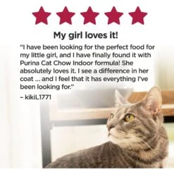 Cat Chow Essentials 7+ Immune + Joint Health Recipe Senior Dry Cat Food -Wellness Sales 966590 PT5. AC SS1800 V1696349395