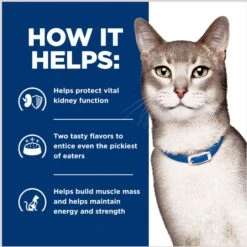 Hill's Prescription Diet K/d Kidney Care Stew Variety Pack Wet Cat Food, 2.9-oz Can, Case Of 24 14 Hill's Prescription Diet K/d Kidney Care Stew Variety Pack Wet Cat Food, 2.9-oz Can, Case Of 24 -Wellness Sales 967646 PT5. AC SS1800 V1696615400