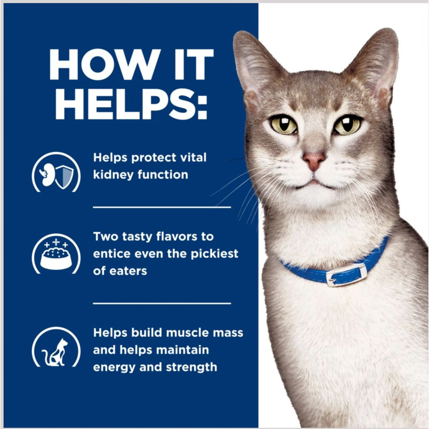 Hill's Prescription Diet K/d Kidney Care Stew Variety Pack Wet Cat Food, 2.9-oz Can, Case Of 24 6 Hill's Prescription Diet K/d Kidney Care Stew Variety Pack Wet Cat Food, 2.9-oz Can, Case Of 24 - Image 6