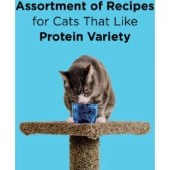 BIXBI LIBERTY Chicken, Salmon & Tuna Recipe Grain-Free Wet Cat Food, 2.75-oz Can, Case Of 12 -Wellness Sales 972526 PT3. AC SS1800 V1698683543