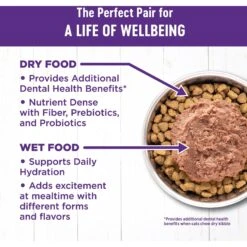 Wellness Complete Health Chicken & Turkey Pate Favorites Variety Pack Grain-Free Wet Cat Food, 3-oz Can, Case Of 12 -Wellness Sales 984630 PT5. AC SS1800 V1699642702