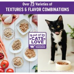 Wellness Complete Health Chicken & Turkey Pate Favorites Variety Pack Grain-Free Wet Cat Food, 3-oz Can, Case Of 12 -Wellness Sales 984630 PT6. AC SS1800 V1700169546