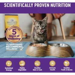 Wellness Complete Health Seafood Pate Favorites Variety Pack Grain-Free Wet Cat Food, 3-oz Can, Case Of 12 12 Wellness Complete Health Seafood Pate Favorites Variety Pack Grain-Free Wet Cat Food, 3-oz Can, Case Of 12 -Wellness Sales 984646 PT4. AC SS1800 V1699642707