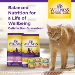Wellness Complete Health Seafood Pate Favorites Variety Pack Grain-Free Wet Cat Food, 3-oz Can, Case Of 12 15 Wellness Complete Health Seafood Pate Favorites Variety Pack Grain-Free Wet Cat Food, 3-oz Can, Case Of 12 -Wellness Sales 984646 PT7. AC SS1800 V1699642706