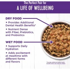 Wellness Complete Health Chicken & Turkey Lovers Gravies & Minced Variety Pack Grain-Free Wet Cat Food, 3-oz Can, Case Of 12 13 Wellness Complete Health Chicken & Turkey Lovers Gravies & Minced Variety Pack Grain-Free Wet Cat Food, 3-oz Can, Case Of 12 -Wellness Sales 984662 PT5. AC SS1800 V1699642704