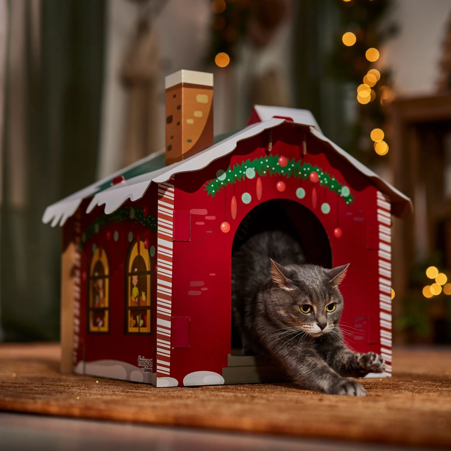 Frisco Holiday Christmas Tree Cardboard Cat House & Frisco Holiday Santa's Workshop Cardboard Cat House 9 Frisco Holiday Christmas Tree Cardboard Cat House & Frisco Holiday Santa's Workshop Cardboard Cat House - Image 9