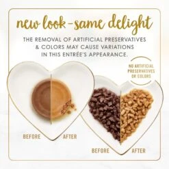 Fancy Feast Senior 7+ Chicken, Beef & Tuna Feasts Variety Pack Canned Cat Food & Purina ONE Indoor Advantage Senior 7+ High Protein Natural Dry Cat Food 12 Fancy Feast Senior 7+ Chicken, Beef & Tuna Feasts Variety Pack Canned Cat Food & Purina ONE Indoor Advantage Senior 7+ High Protein Natural Dry Cat Food -Wellness Sales 986446 PT3. AC SS1800 V1698672270