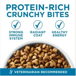 Fancy Feast Senior 7+ Chicken, Beef & Tuna Feasts Variety Pack Canned Cat Food & Purina ONE Indoor Advantage Senior 7+ High Protein Natural Dry Cat Food 16 Fancy Feast Senior 7+ Chicken, Beef & Tuna Feasts Variety Pack Canned Cat Food & Purina ONE Indoor Advantage Senior 7+ High Protein Natural Dry Cat Food -Wellness Sales 986446 PT7. AC SS1800 V1698672382