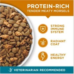 Purina ONE Tender Selects Blend With Real Chicken Dry Cat Food & Purina ONE True Instinct Turkey, Chicken & Tuna Variety Pack Canned Cat Food 12 Purina ONE Tender Selects Blend With Real Chicken Dry Cat Food & Purina ONE True Instinct Turkey, Chicken & Tuna Variety Pack Canned Cat Food -Wellness Sales 986462 PT3. AC SS1800 V1698672328