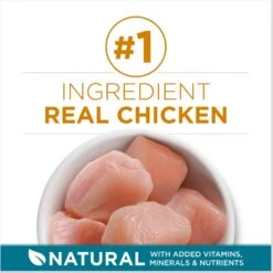 Purina ONE Tender Selects Blend With Real Chicken Dry Cat Food & Purina ONE True Instinct Turkey, Chicken & Tuna Variety Pack Canned Cat Food 13 Purina ONE Tender Selects Blend With Real Chicken Dry Cat Food & Purina ONE True Instinct Turkey, Chicken & Tuna Variety Pack Canned Cat Food -Wellness Sales 986462 PT4. AC SS1800 V1698672267