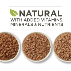 Purina ONE Tender Selects Blend With Real Chicken Dry Cat Food & Purina ONE True Instinct Turkey, Chicken & Tuna Variety Pack Canned Cat Food 16 Purina ONE Tender Selects Blend With Real Chicken Dry Cat Food & Purina ONE True Instinct Turkey, Chicken & Tuna Variety Pack Canned Cat Food -Wellness Sales 986462 PT7. AC SS1800 V1698672723