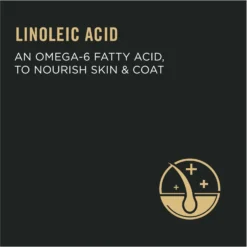 Purina Pro Plan Focus Adult Urinary Tract Health Formula Dry Cat Food & Purina Pro Plan Focus Urinary Tract Health Seafood Favorites Variety Pack Canned Cat Food, 3-oz Can, Case Of 24 -Wellness Sales 986478 PT4. AC SS1800 V1698672267