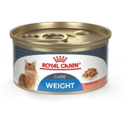 Royal Canin Feline Care Nutrition Weight Care Adult Dry Cat Food & Royal Canin Feline Care Nutrition Weight Care Adult Thin Slices In Gravy Canned Cat Food 14 Royal Canin Feline Care Nutrition Weight Care Adult Dry Cat Food & Royal Canin Feline Care Nutrition Weight Care Adult Thin Slices In Gravy Canned Cat Food -Wellness Sales 986494 PT5. AC SS1800 V1698672377