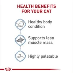 Royal Canin Feline Care Nutrition Weight Care Adult Dry Cat Food & Royal Canin Feline Care Nutrition Weight Care Adult Thin Slices In Gravy Canned Cat Food 17 Royal Canin Feline Care Nutrition Weight Care Adult Dry Cat Food & Royal Canin Feline Care Nutrition Weight Care Adult Thin Slices In Gravy Canned Cat Food -Wellness Sales 986494 PT8. AC SS1800 V1698672264