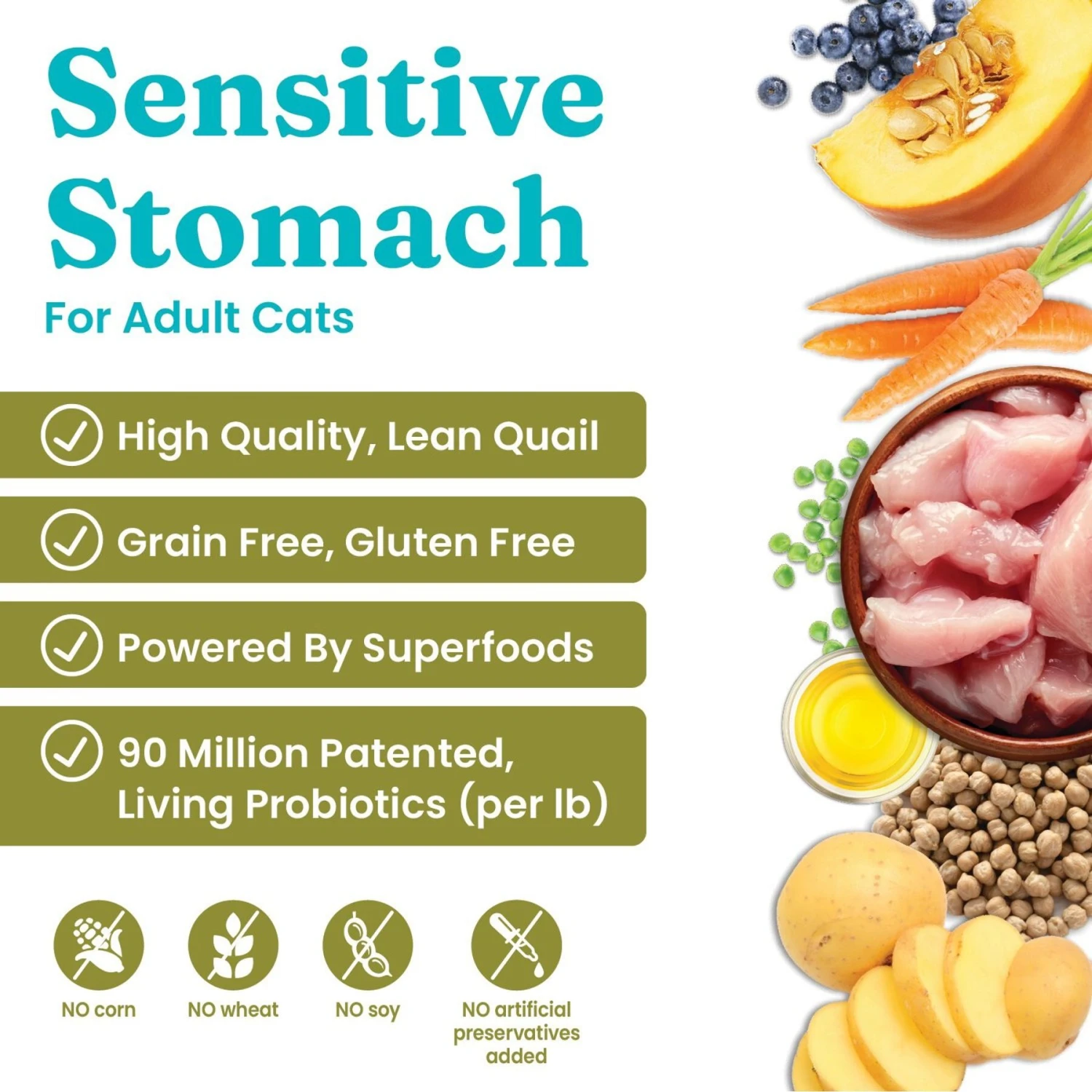 Solid Gold Winged Tiger With Quail & Pumpkin Grain-Free Sensitive Stomach Adult Dry Cat Food 2 Solid Gold Winged Tiger With Quail & Pumpkin Grain-Free Sensitive Stomach Adult Dry Cat Food - Image 2