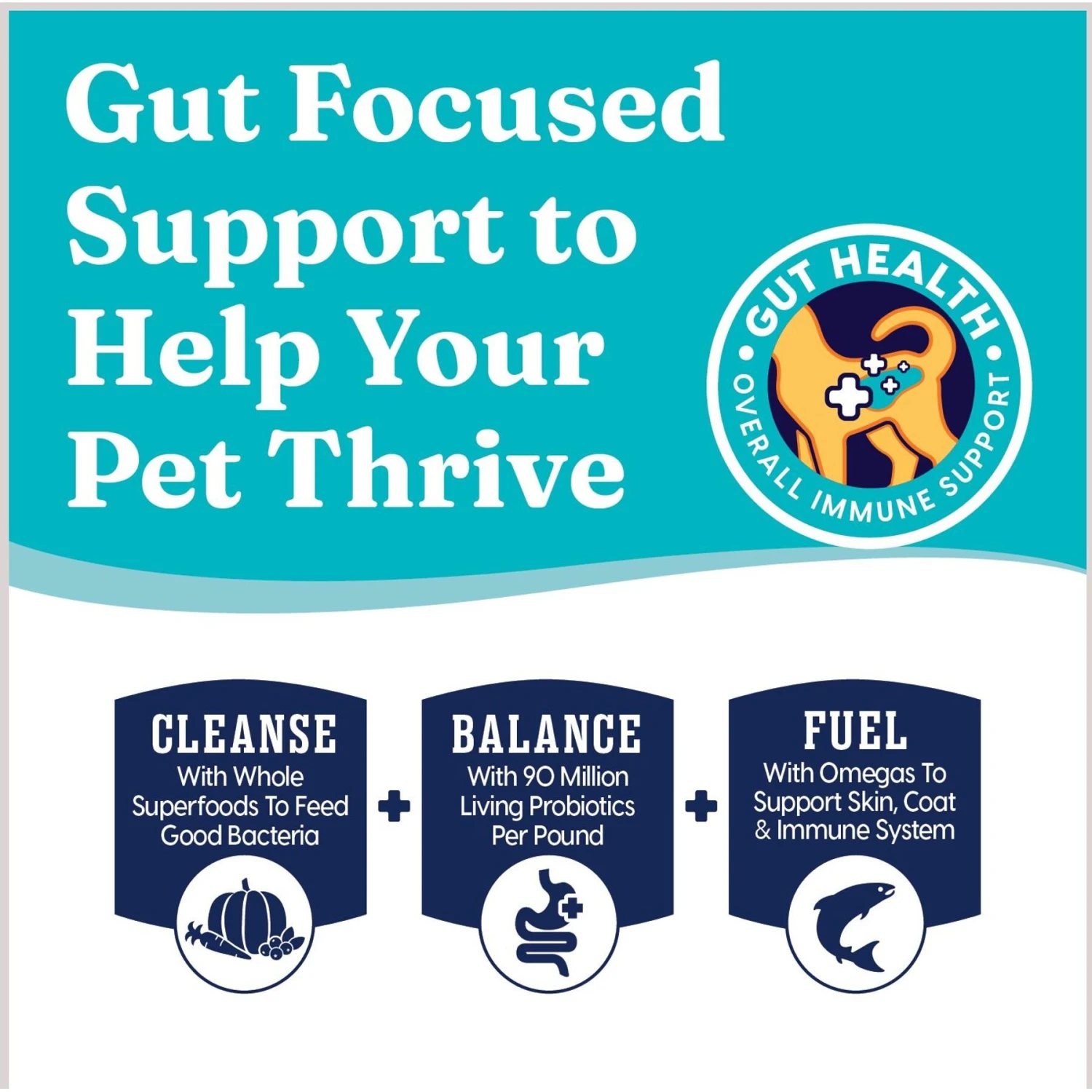 Solid Gold Winged Tiger With Quail & Pumpkin Grain-Free Sensitive Stomach Adult Dry Cat Food 4 Solid Gold Winged Tiger With Quail & Pumpkin Grain-Free Sensitive Stomach Adult Dry Cat Food - Image 4