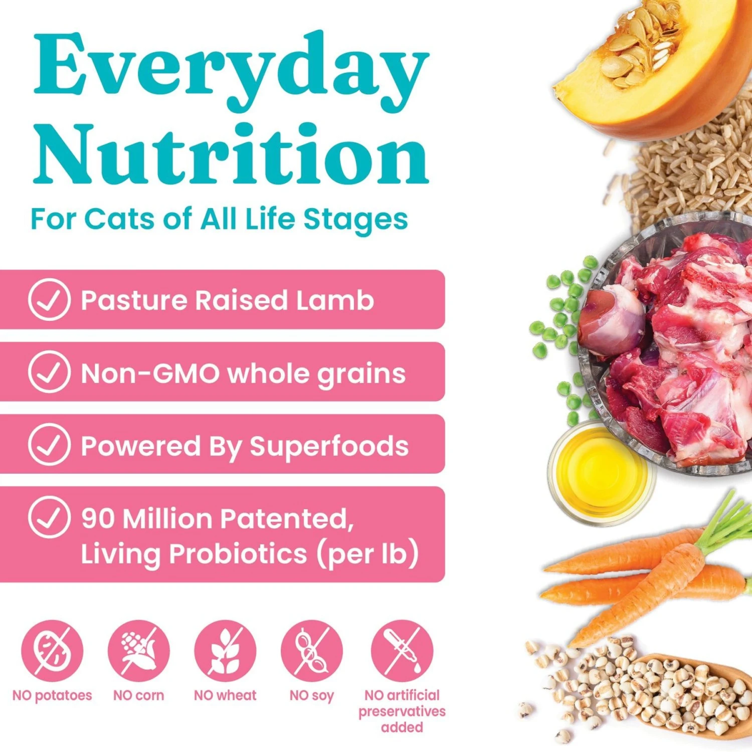 Solid Gold Katz-n-Flocken Lamb & Brown Rice Recipe With Pearled Barley Whole Grain Dry Cat Food 2 Solid Gold Katz-n-Flocken Lamb & Brown Rice Recipe With Pearled Barley Whole Grain Dry Cat Food - Image 2