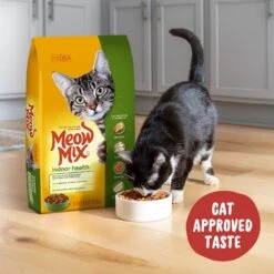 Meow Mix Indoor Health Dry Cat Food 9 Meow Mix Indoor Health Dry Cat Food -Wellness Sales 99943 PT4. AC SS1800 V1670620786