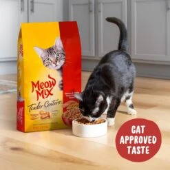 Meow Mix Tender Centers Salmon & White Meat Chicken Dry Cat Food 9 Meow Mix Tender Centers Salmon & White Meat Chicken Dry Cat Food -Wellness Sales 99977 PT3. AC SS1800 V1670620273